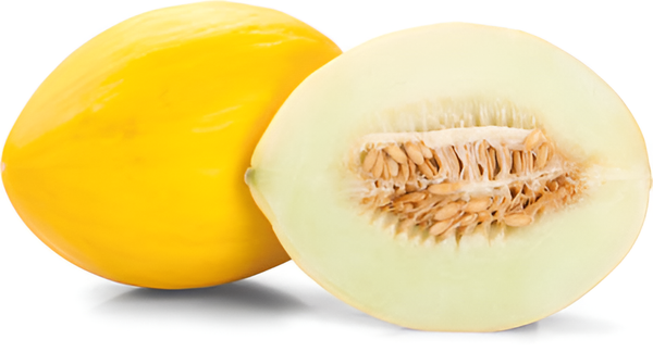 Melon Cukrovy